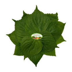 Lá vừng (lá mè) Global Gap 50g