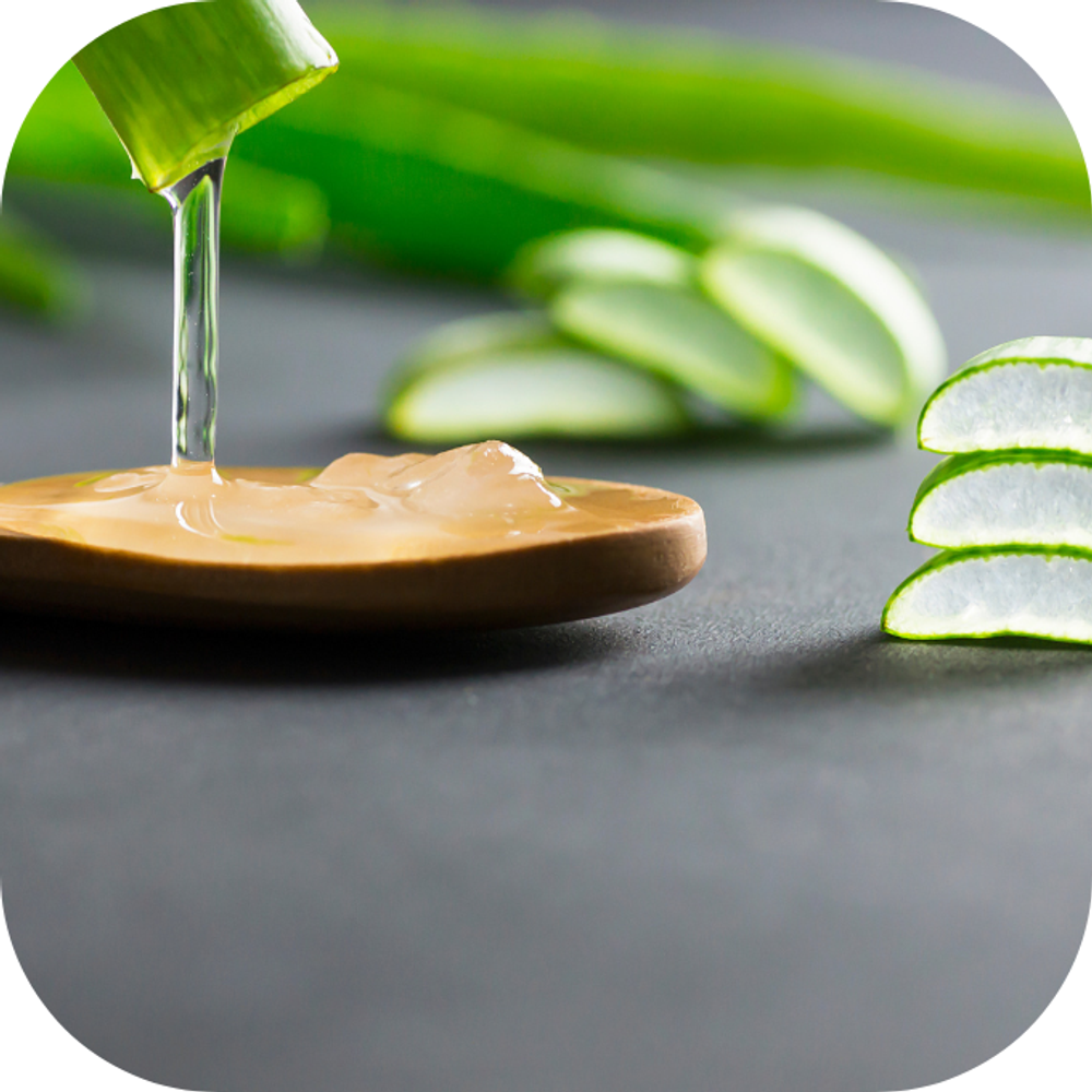 Nha đam Kingfoodmart