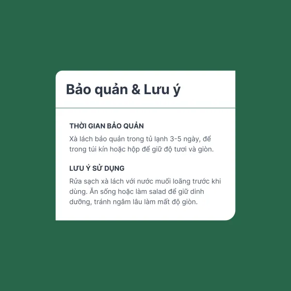 Xà lách lô lô thủy canh VietGAP gói 200g