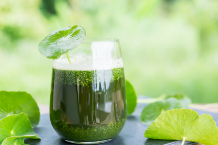 Bí quyết làm rau má nước dừa – Mát lạnh tức thì cho mùa hè nóng bức