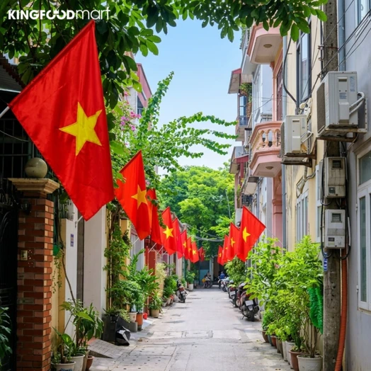 2/9 là ngày gì? Ý nghĩa ngày Quốc khánh Việt Nam và niềm tự hào dân tộc
