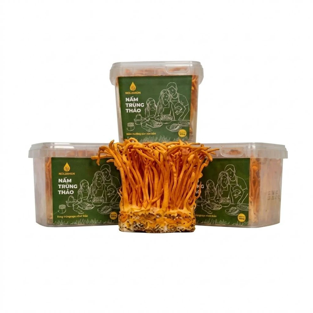 Top 5 thương hiệu nấm và rong biển Tick Xanh tại Kingfoodmart cho người yêu thực phẩm healthy

