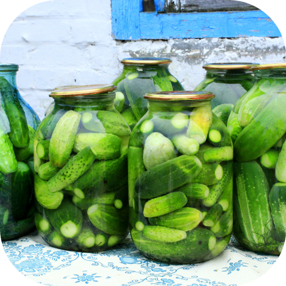 dưa leo Kingfoodmart