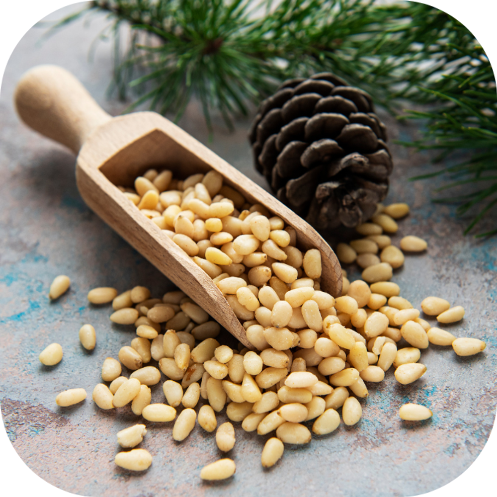 hạt thông Kingfoodmart