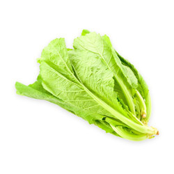 Cải mù tạt (Cải cay xanh) hữu cơ Everyday Organic gói 200g