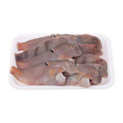 Cá mó 20-25 con/kg NC (1Kg)