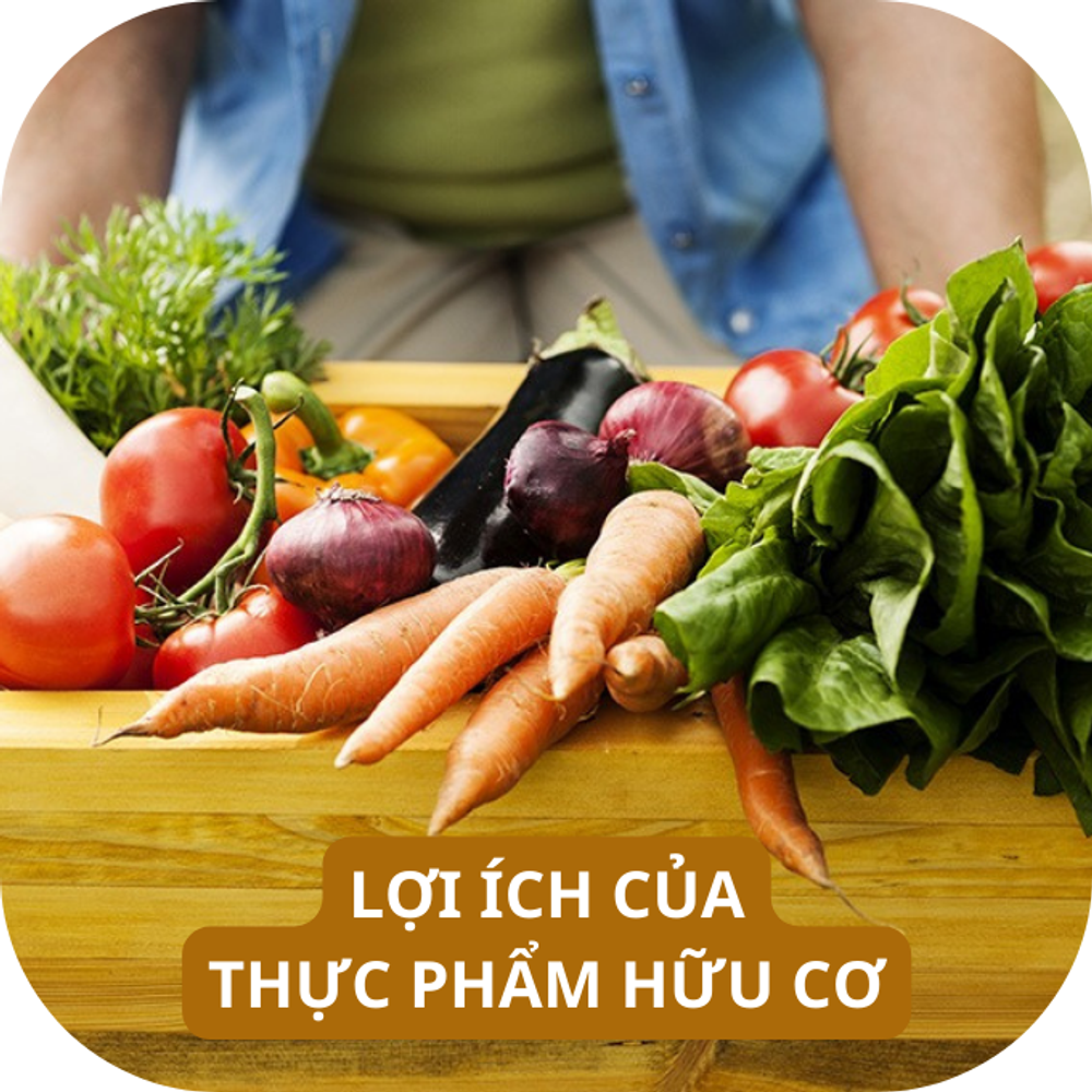 Ưu điểm của thực phẩm hữu cơ Kingfoodmart