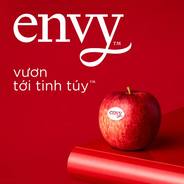 Táo Envy size 90-100 1Kg