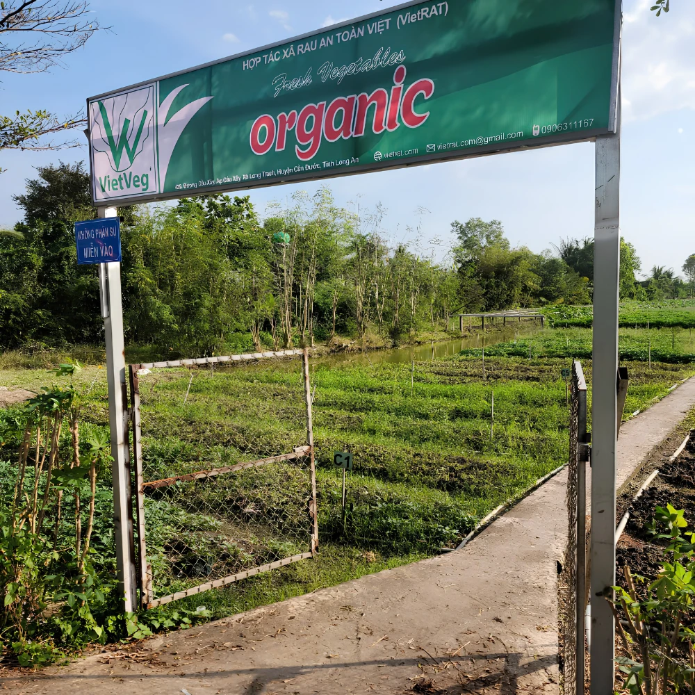 Hình ảnh nông trại xanh mướt tại Long An.