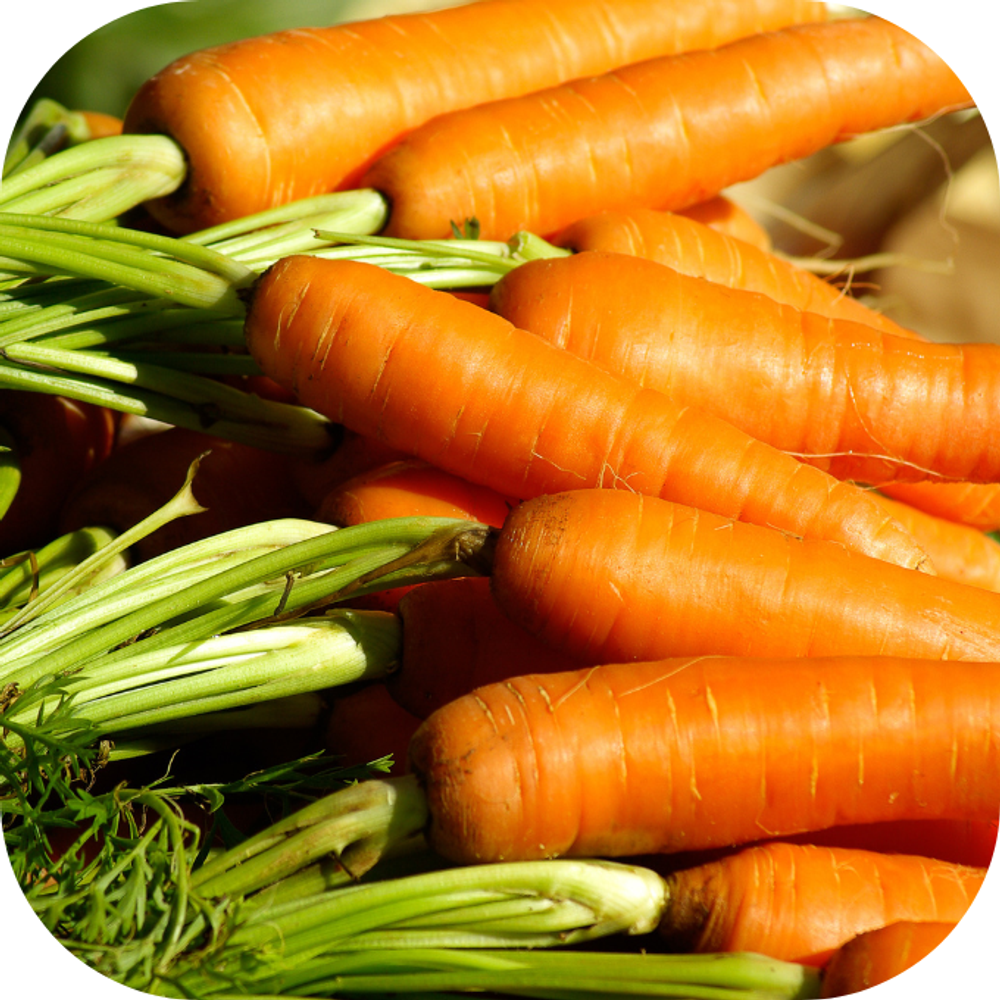 Cà rốt Kingfoodmart