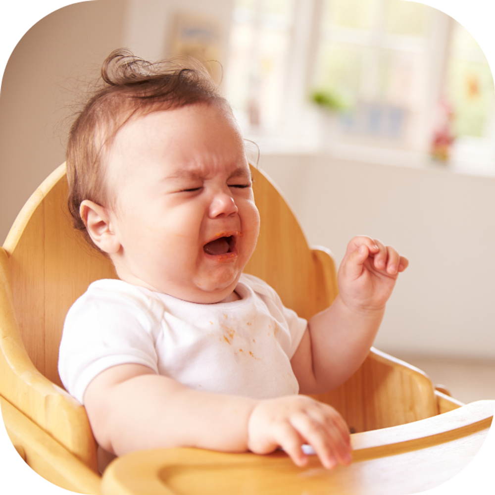 trẻ 19 tháng tuổi không biếng ăn Kingfoodmart