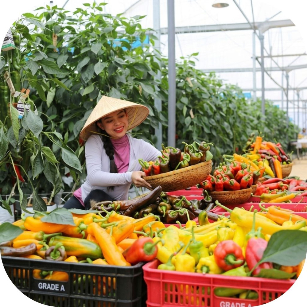 Mai-Khoi-Farm-4