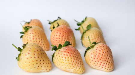 Dâu Snowberry – Dâu tây trắng Hàn Quốc