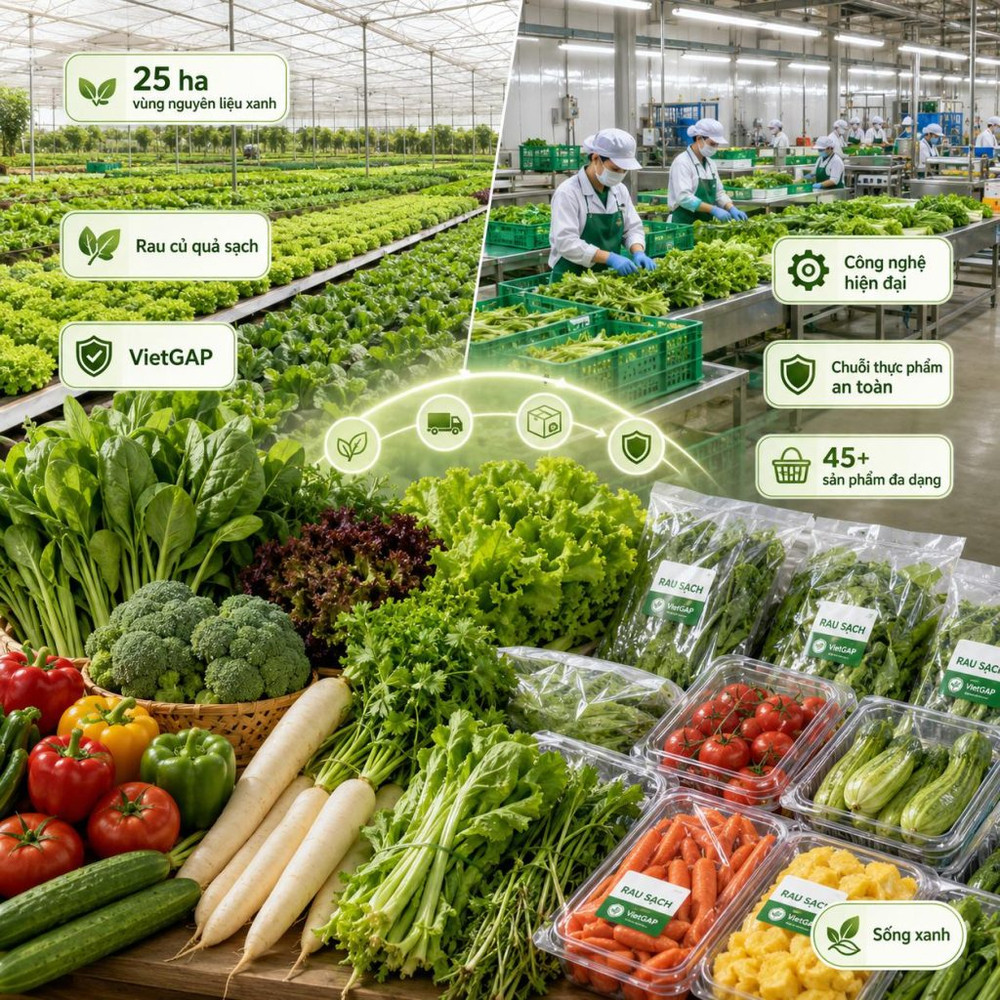 Công ty TNHH Rau Củ Quả Trường Phát: Rau củ quả sạch trong nhóm Tick Xanh Kingfoodmart
