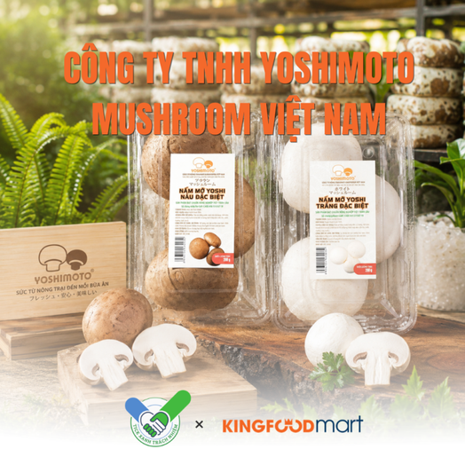 Yoshimoto Mushroom có gì đặc biệt? Vì sao đạt Tick Xanh Trách Nhiệm tại Kingfoodmart