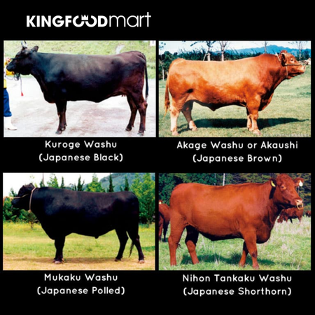 Sự thật về bò Wagyu: Miếng thịt đắt nhất thế giới có thực sự đáng tiền?