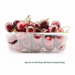 Cherry Chile hộp 500g (1 Hộp)