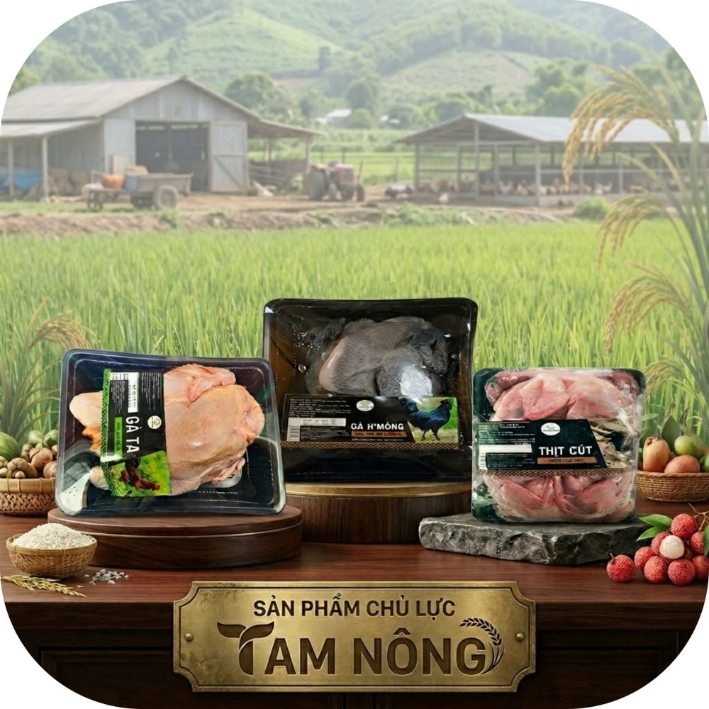 Tam-Nong-2
