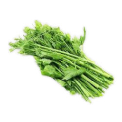 Ngọn susu VietGAP gói 300g (1 Gói)