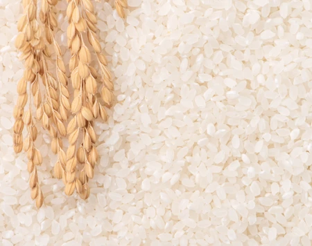 Bí quyết lựa chọn loại gạo nếp phù hợp cho bánh chưng, bánh tét