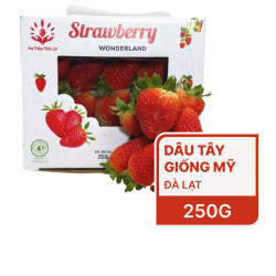Dâu tây giống Mỹ VietGap hộp 250g (1 Hộp)
