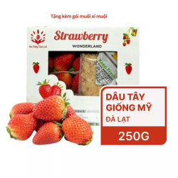 Dâu tây giống Mỹ VietGap hộp 250g (1 Hộp)