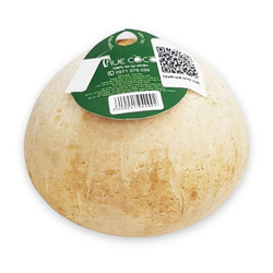 Dừa xiêm size lớn True Coco (1 Quả)