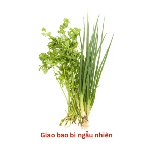 Rau nêm hỗn hợp VietGap gói 80g