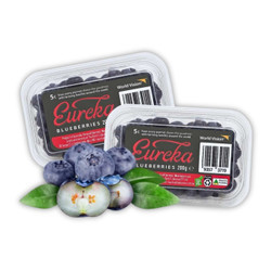 Blueberry Jumbo Úc hộp 200g (1 Hộp)