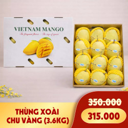 Thùng xoài cát chu vàng phát tài 3.6KG (1 Thùng)