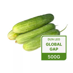Dưa leo GlobalGap vỉ 500g (1 Vỉ)