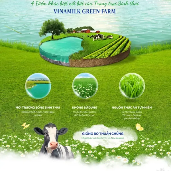 Sữa thanh trùng không đường Green Farm Vinamilk hộp 900ml