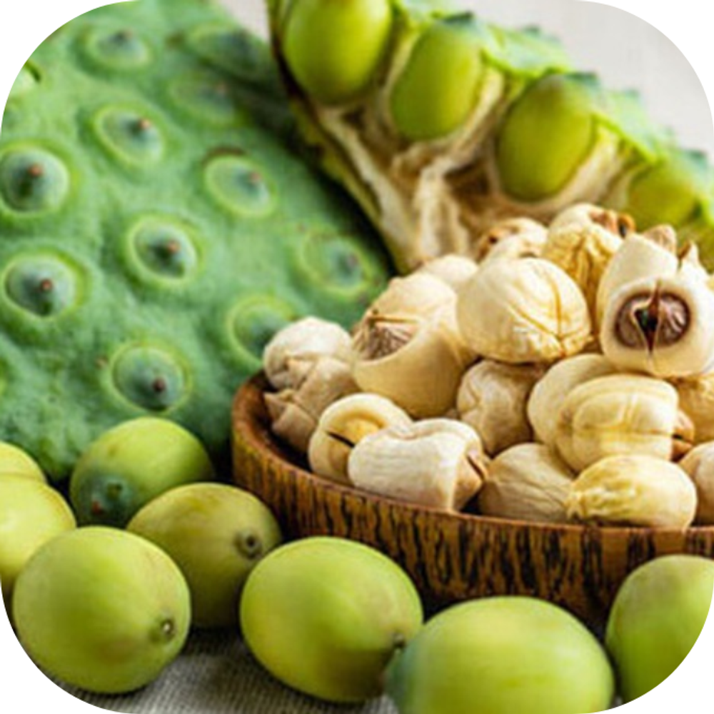 Tác dụng của hạt sen Kingfoodmart
