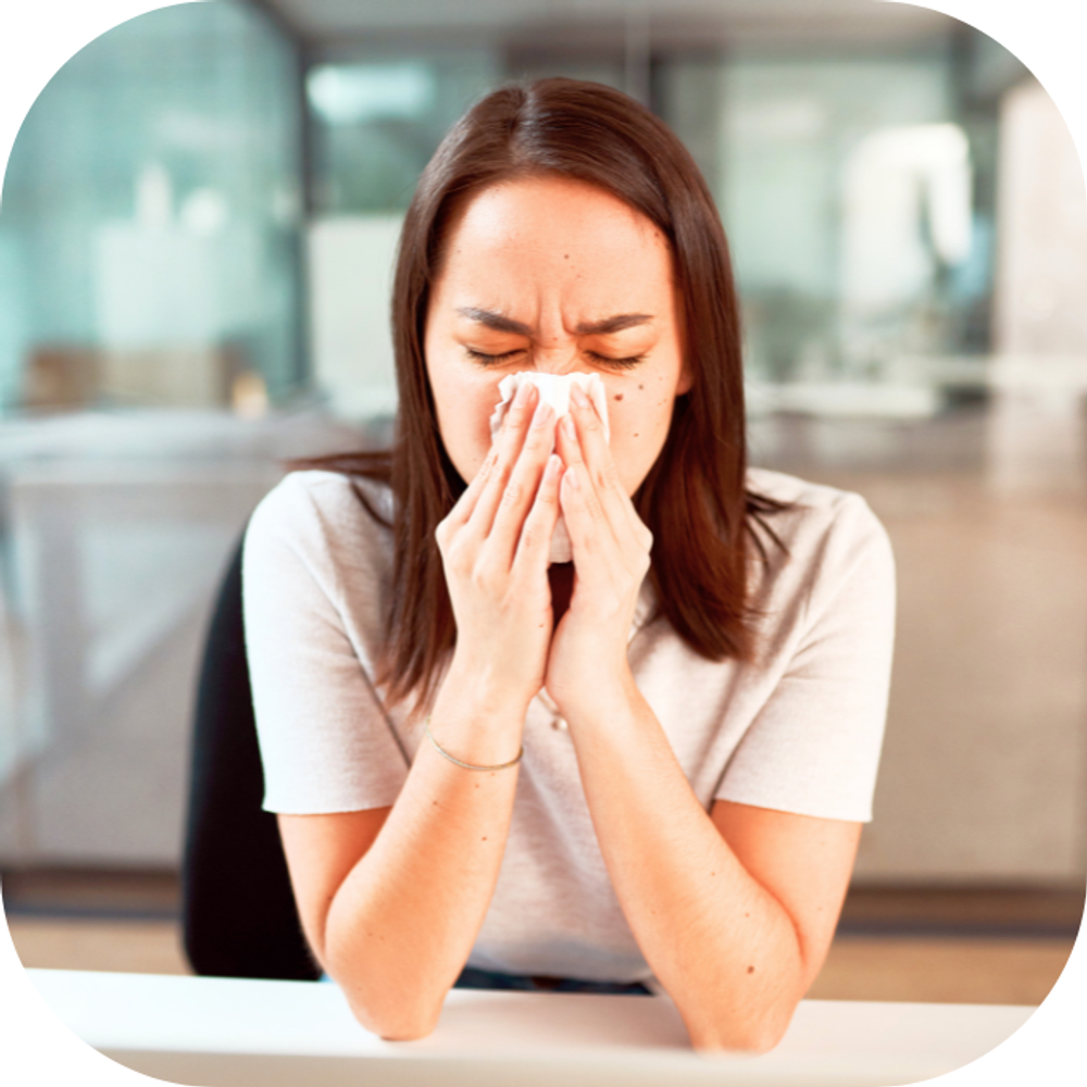 nghet mui Kingfoodmart