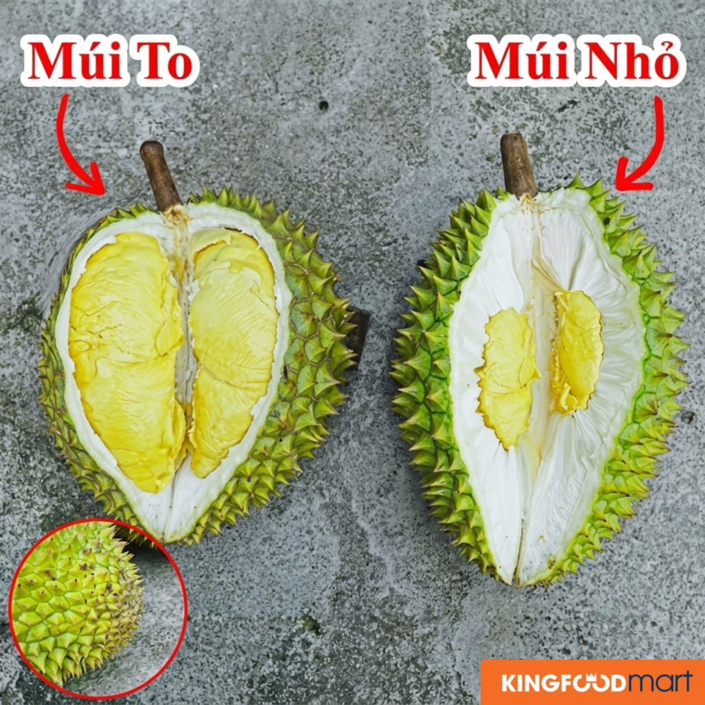 sau-rieng-Ri6-3