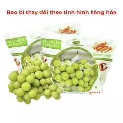 Nho xanh Chile    (1Kg)