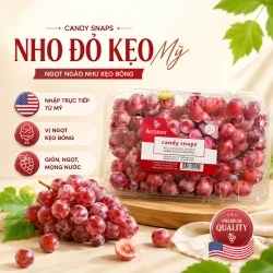 Nho đỏ kẹo Mỹ hộp 450g
