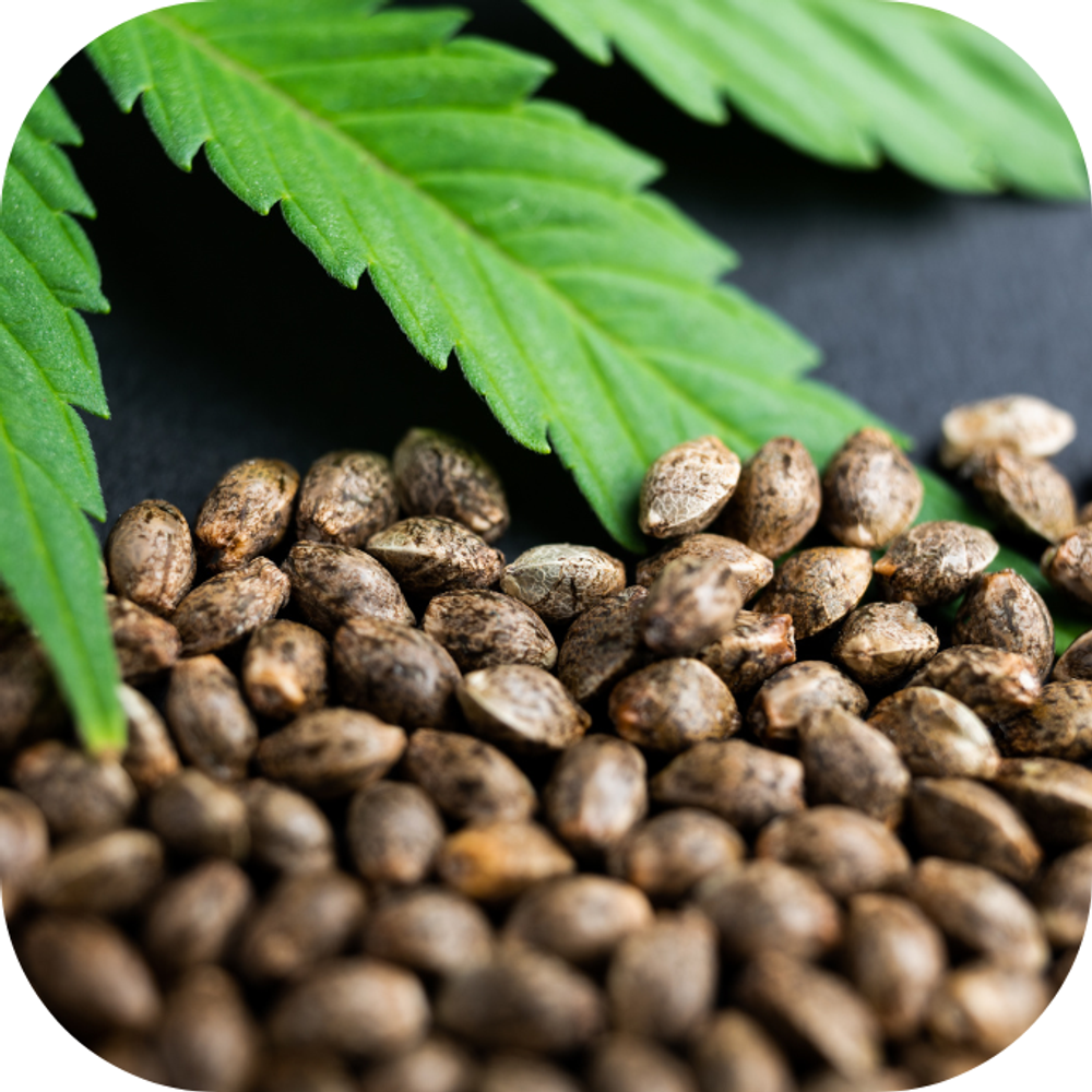 tim mạch và tiêu hóa