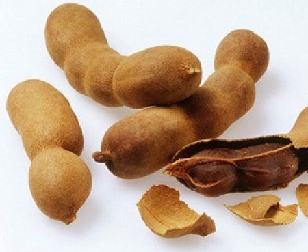 Mẹo chọn trái Kiwi ngon cho gia đình