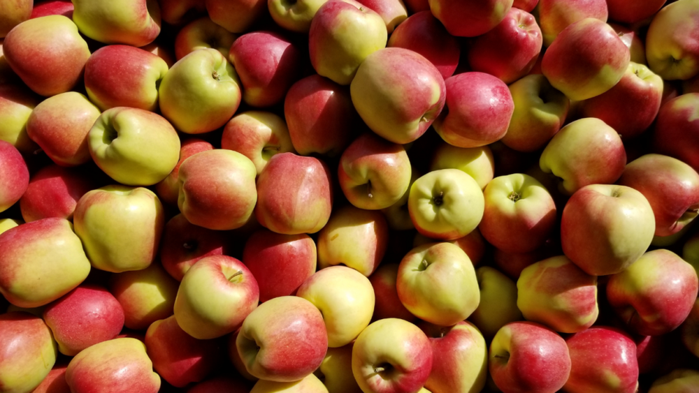 Táo Ambrosia Kingfoodmart