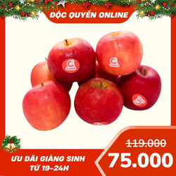 Táo Candine Pháp túi 1kg (1 Túi)