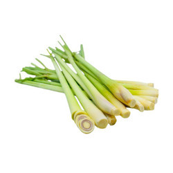 Sả cây hướng hữu cơ Việt Hà gói 100g