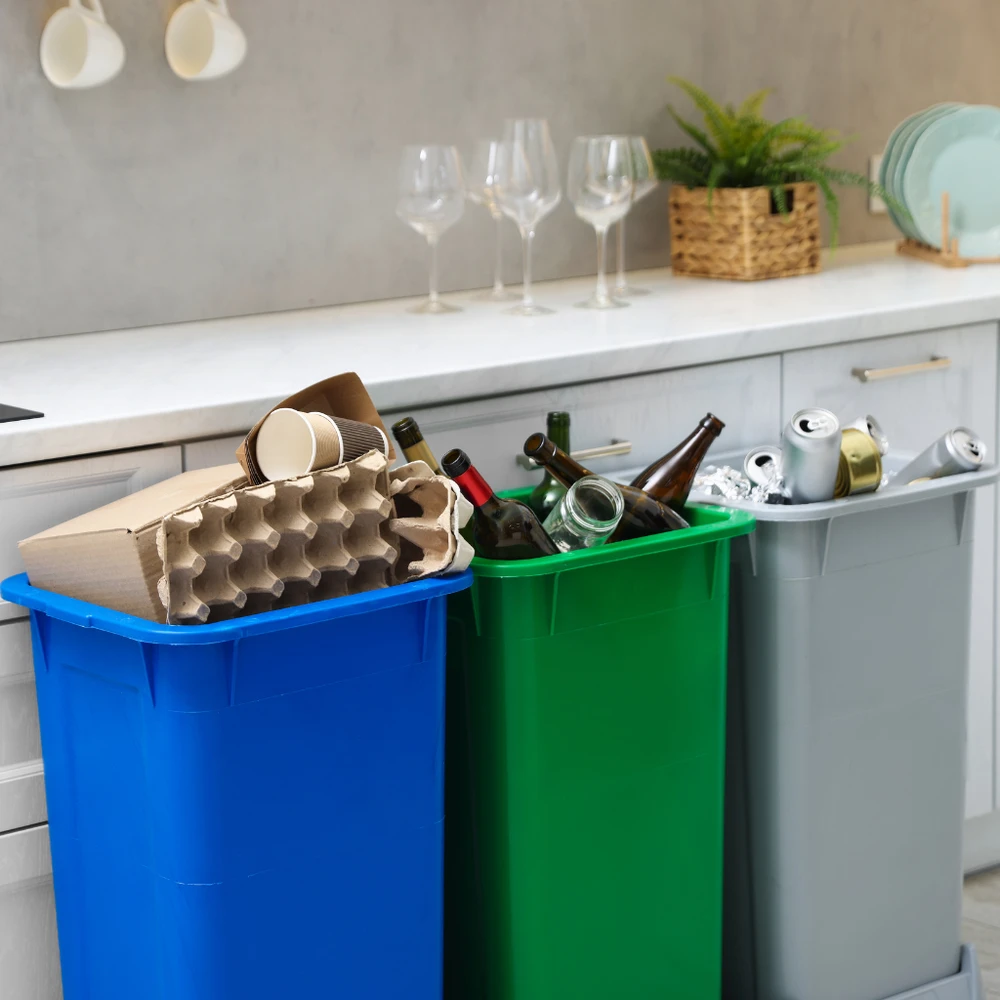 Thói quen sống xanh như phân loại rác là những bước nhỏ tạo ra thay đổi lớn.