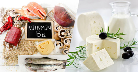 Vì sao cơ thể cần bổ sung Vitamin B12?