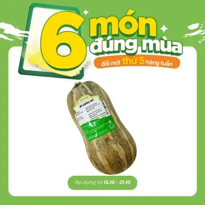 Bí giống Mỹ trái 800g-1.1kg