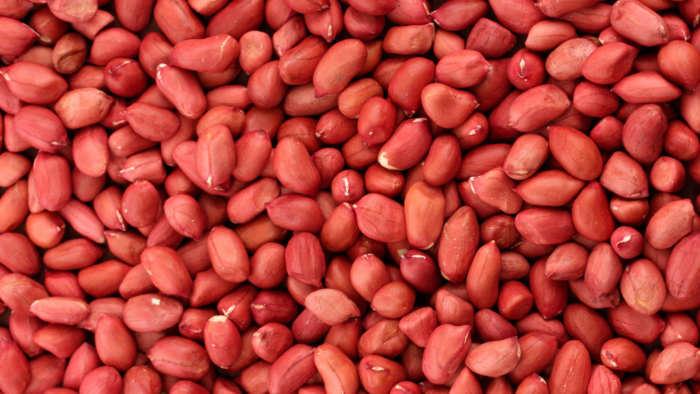 Lạc tươi mới giúp món xôi lạc bùi béo và giàu dinh dưỡng hơn. (Nguồn: Internet)