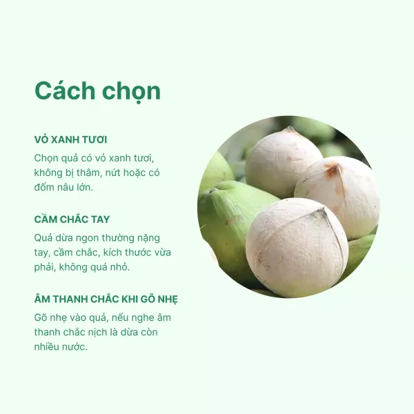Combo dừa xiêm xanh 5 quả size 300-400g