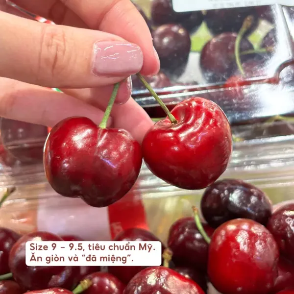 Cherry Mỹ 500g