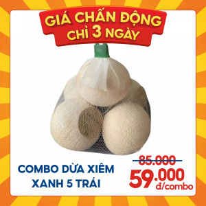 Combo dừa xiêm xanh 5 quả size 300-400g (1 Combo)