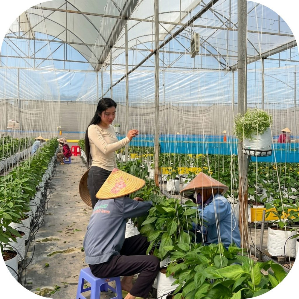 Mai-Khoi-Farm-5